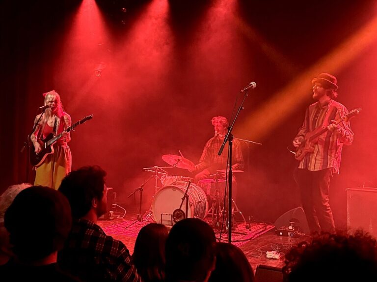 Summer Park Sessions – Beach Boys’ Best in Park Velserbeek